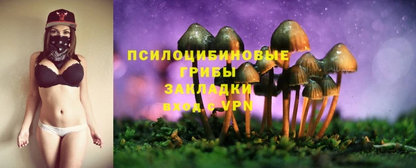гидропоника Алексеевка