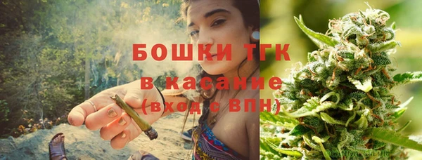 дмт Алексин