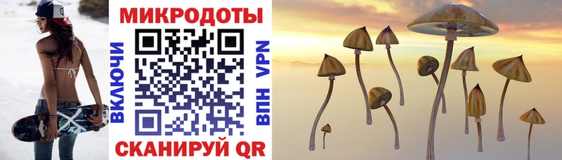 kraken вход  Апшеронск  Псилоцибиновые грибы мицелий 